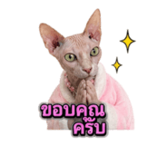 855897774