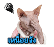 855897775