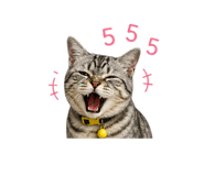 855897949