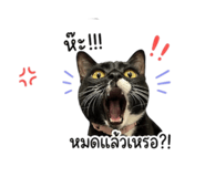 855898222