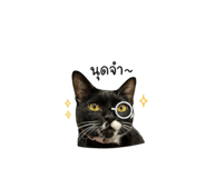 855898238
