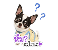 855899830