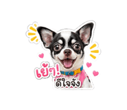 855899837