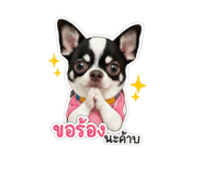 855899838