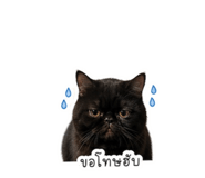 855902252