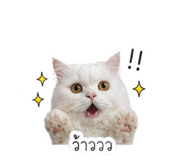 855902253