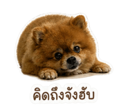 855903166