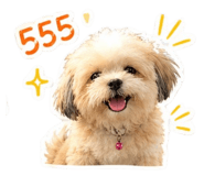 855904092