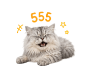 855904274