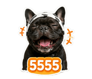 855904756