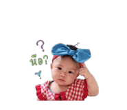 855906604