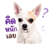 855907308