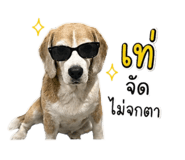 855907821