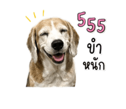 855907825
