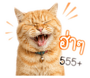 855908124