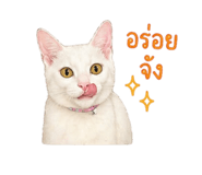 855908186