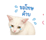 855908188