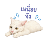 855908189
