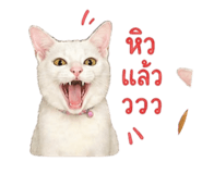 855908191