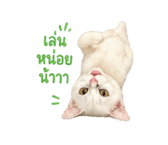 855908195