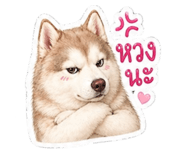 855908256
