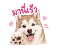 855908279