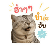 855908322