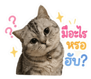 855908326