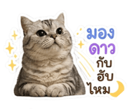 855908333