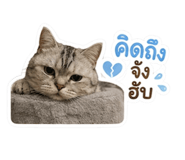 855908340