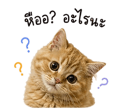 855908569