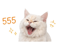 855909895