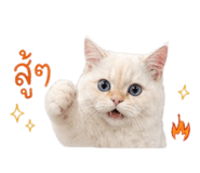 855909898