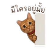 855910770