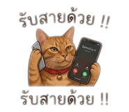 855910776