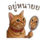 855910778