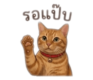 855910780