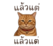 855910783
