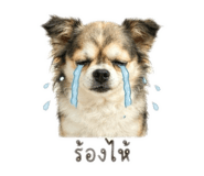 855910792