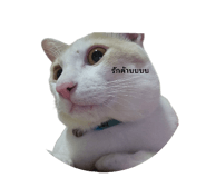 855911086