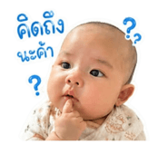 855911631