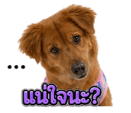 855912228
