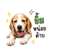 855913962