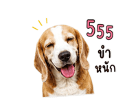 855913969