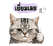 855914141