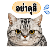 855914143