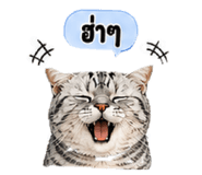 855914144