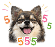 855914824