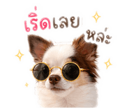 855914836