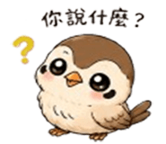 855916196